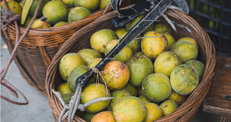 Monk Fruit: An Ancient Sugar Alternative With Centuries Old Benefits