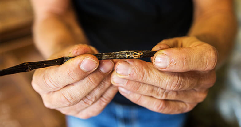 Where Do Vanilla Beans Come From?