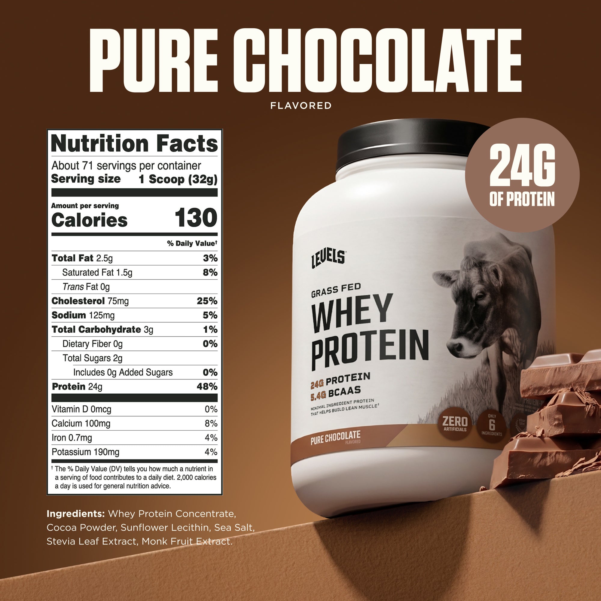 Pure Chocolate 5LB