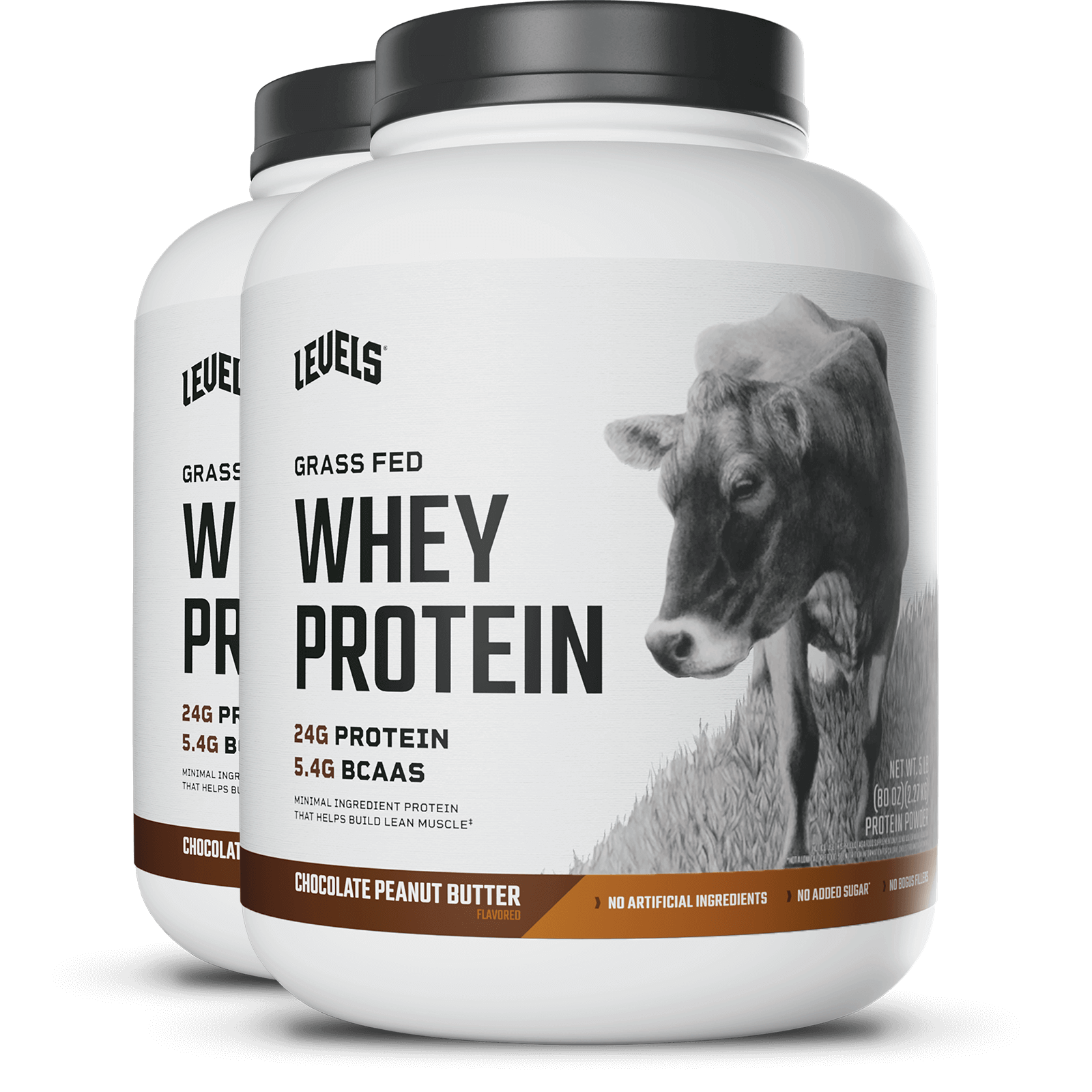 Chocolate Peanut Butter 10LB