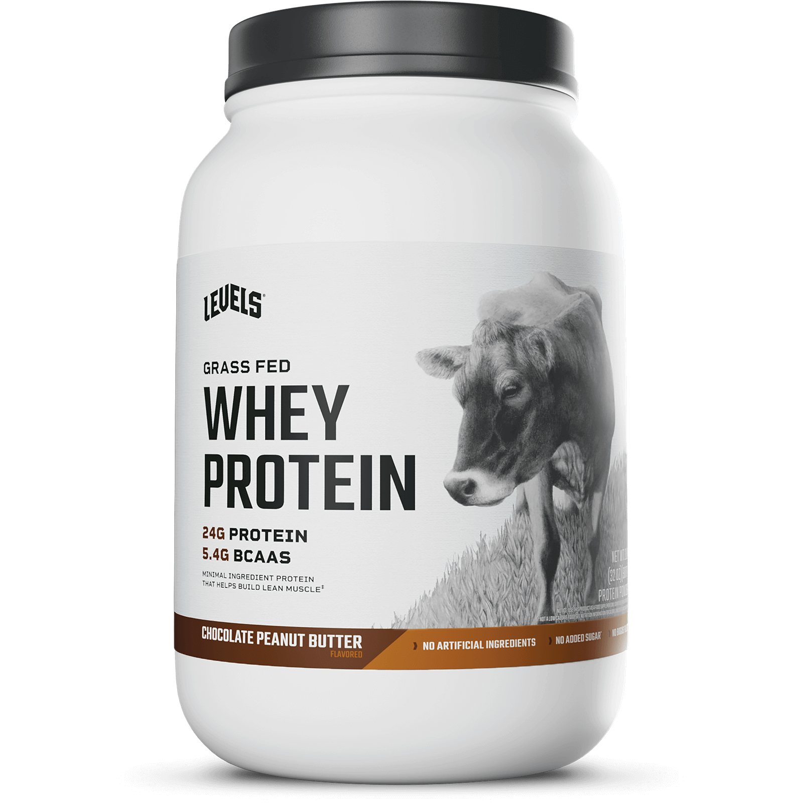 Chocolate Peanut Butter 2LB