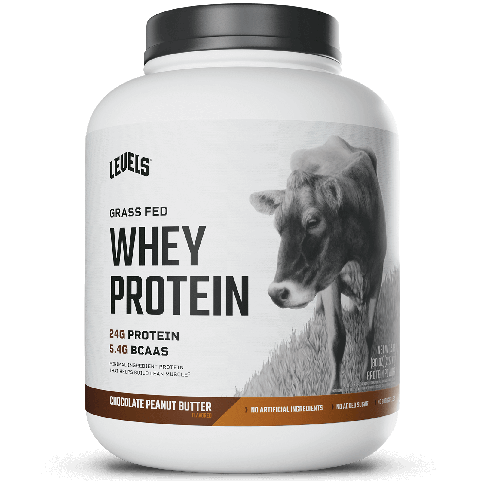 Chocolate Peanut Butter 5LB