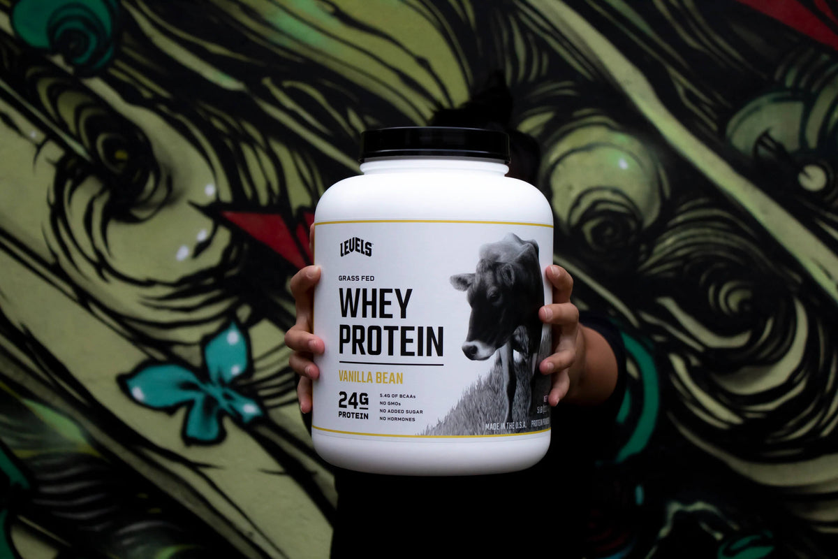 The 10 Best Supplements to Burn Fat and Build Muscle - Levels