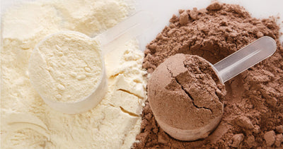 Whey Protein Isolate vs. Concentrate: Everything You Need to Know