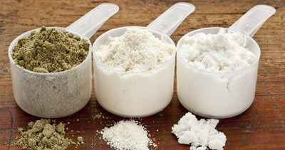 Whey Protein vs. Plant Protein: The Differences Explained