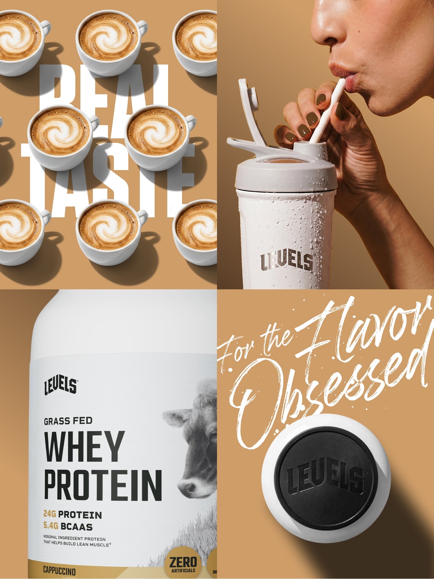 Whey Protein