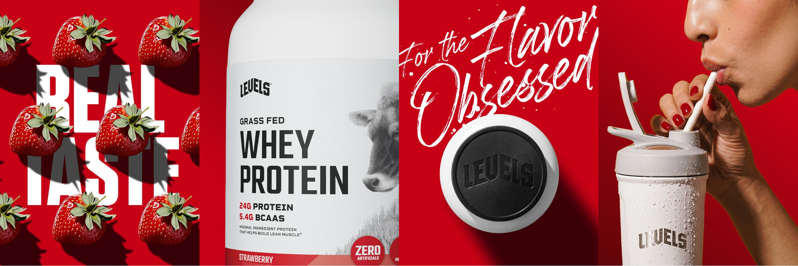 Whey Protein