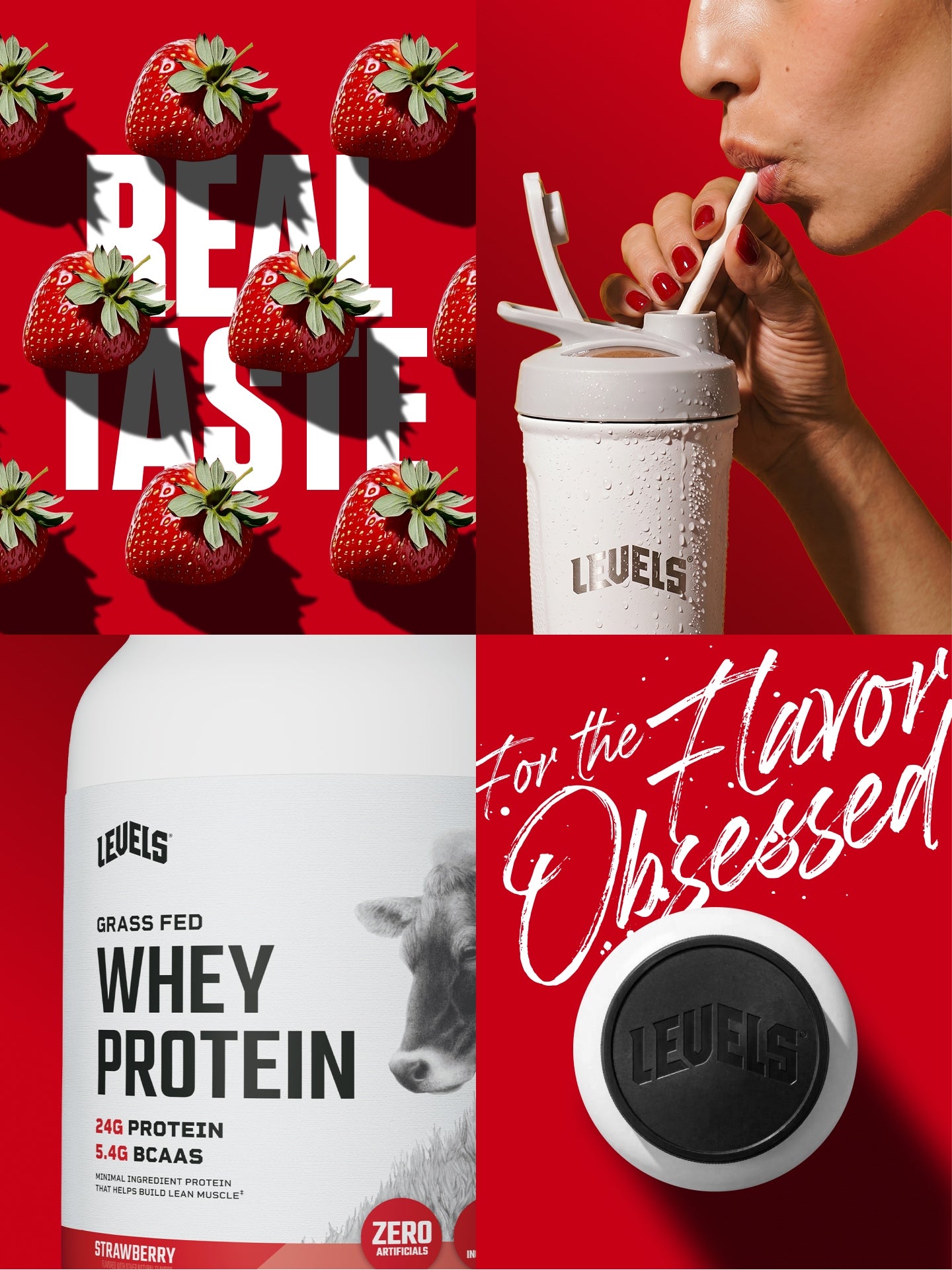Whey Protein
