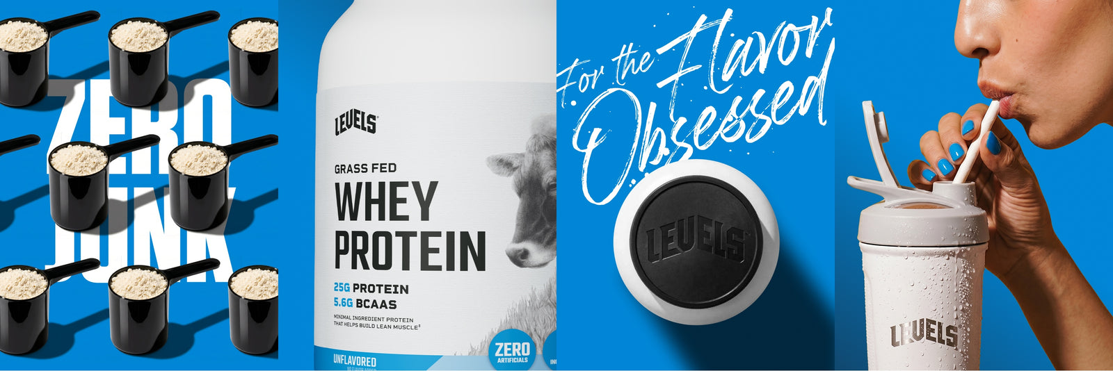 Whey Protein