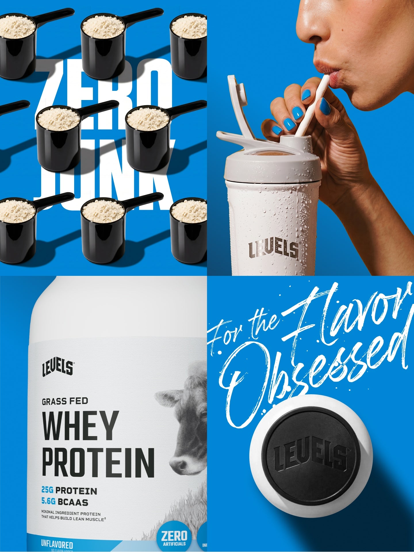 Whey Protein
