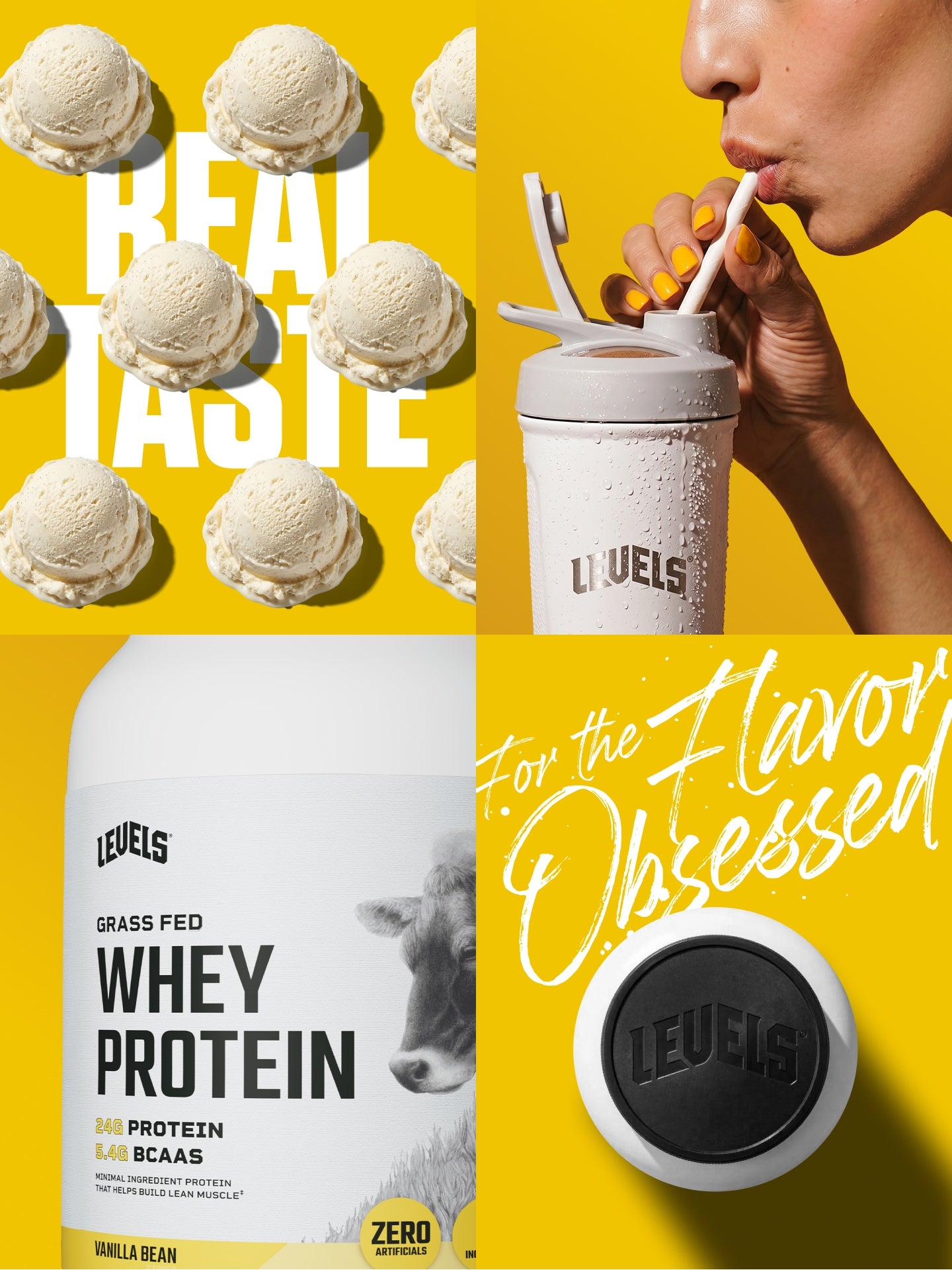 Whey Protein