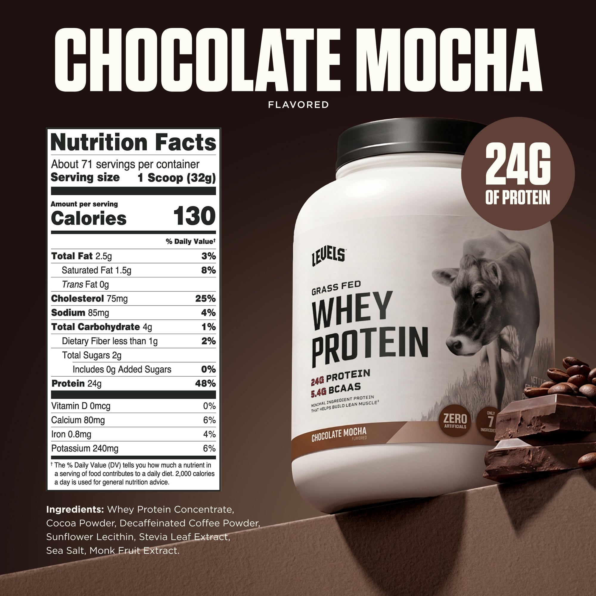 Chocolate Mocha 5LB