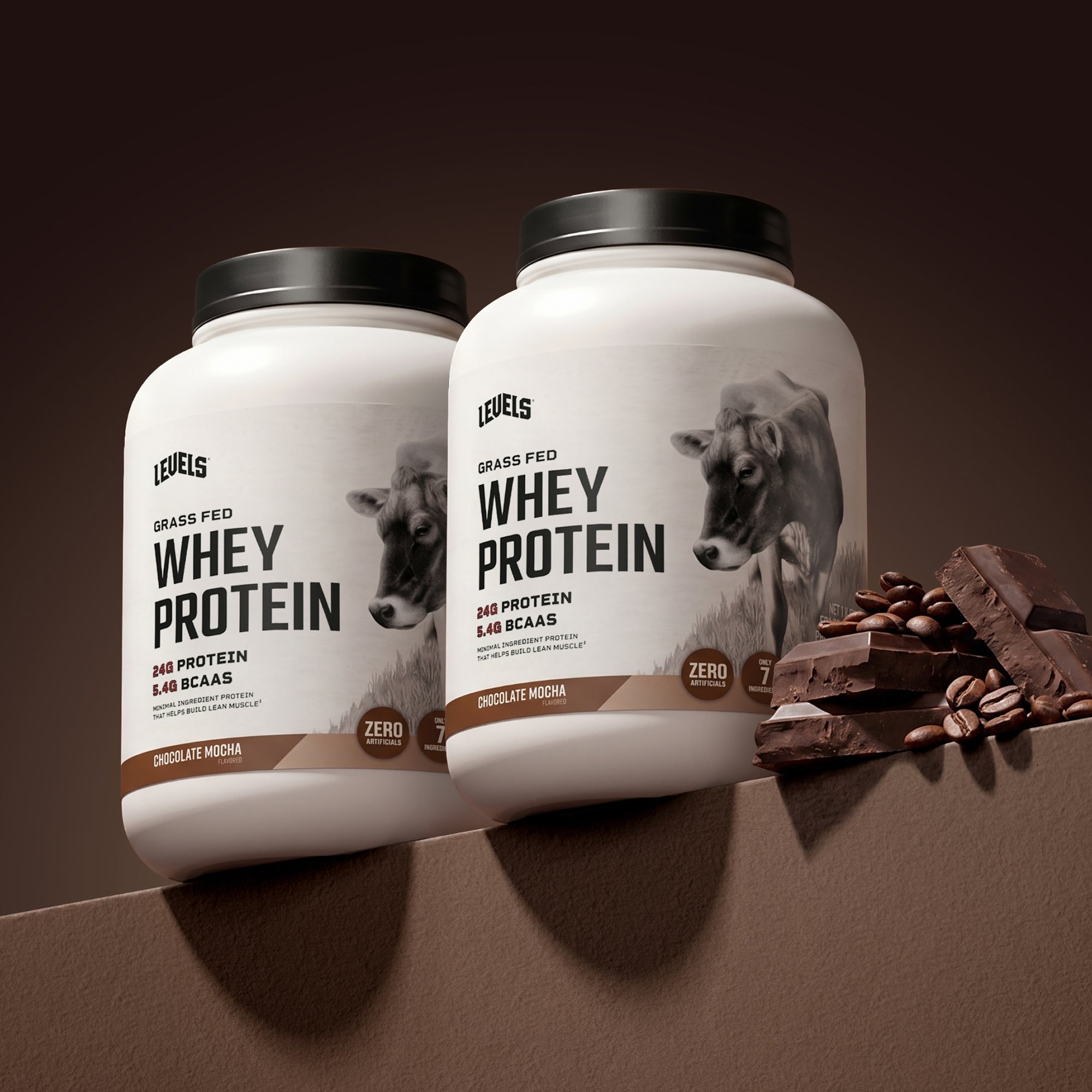 Chocolate Mocha 10LB